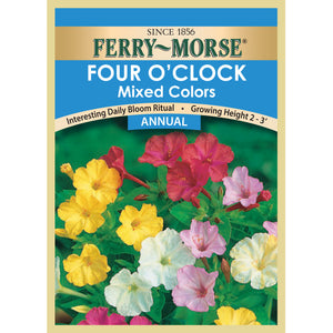 Four O'Clock Seeds