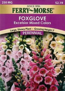 Foxglove Excelsior Mixed Colors Seeds