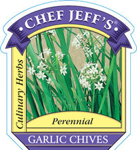 Load image into Gallery viewer, Chives Garlic
