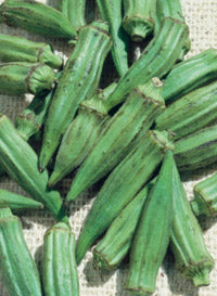 Okra 'Green fingers'