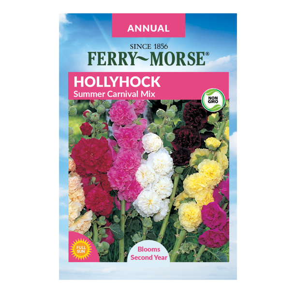 Hollyhock Summer Carnival Mixed Colors Seeds