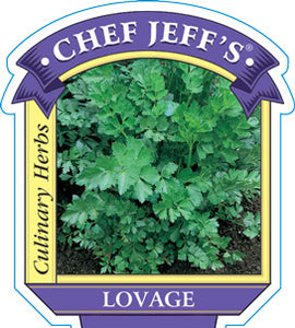 Lovage Herb