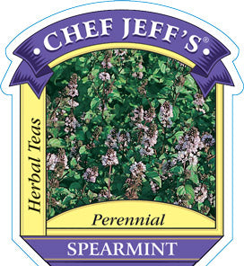 Mint 'Spearmint'