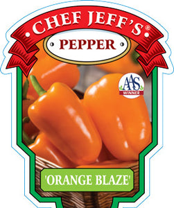 Pepper 'Orange Blaze'