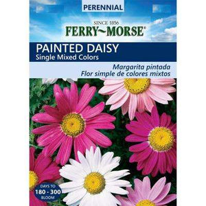 Painted Daisy Single Mix Colors Seeds