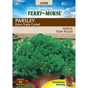 Parsley Extra Triple Curled Seeds