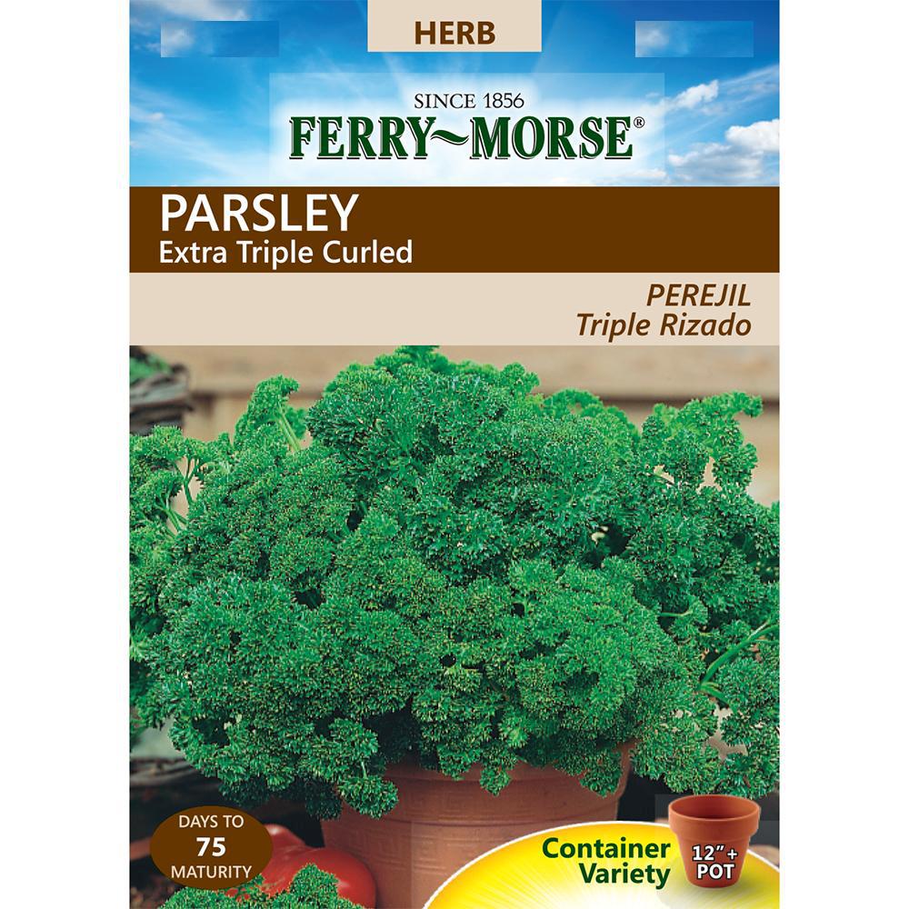 Parsley Extra Triple Curled Seeds