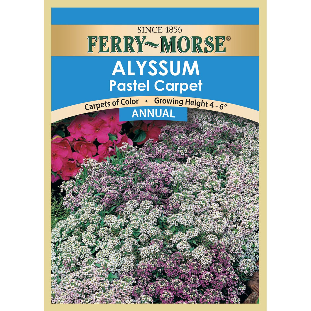 Alyssum Pastel Carpet Seeds