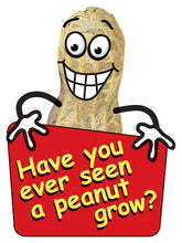Load image into Gallery viewer, Spanish Peanut
