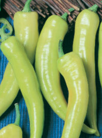 Pepper 'Pepperoncini'