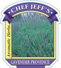 Load image into Gallery viewer, Lavender &#39;Provence&#39;
