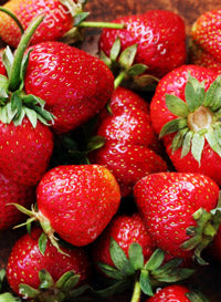 Strawberry "Quinault"