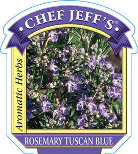 Rosemary 'Tuscan Blue'