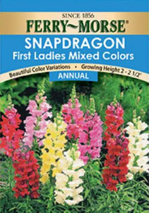 Snapdragon First Ladies Seeds