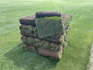 Tall Fescue Sod (10 Square Foot Roll)
