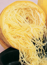 Load image into Gallery viewer, Squash &#39;Spaghetti&#39;
