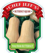 Load image into Gallery viewer, Squash &#39;Butternut Waltham&#39;
