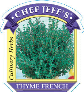 Thyme "French"