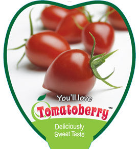 Tomato 'Tomatoberry'