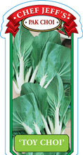 Load image into Gallery viewer, Pak Choi &#39;Toy Choi&#39;
