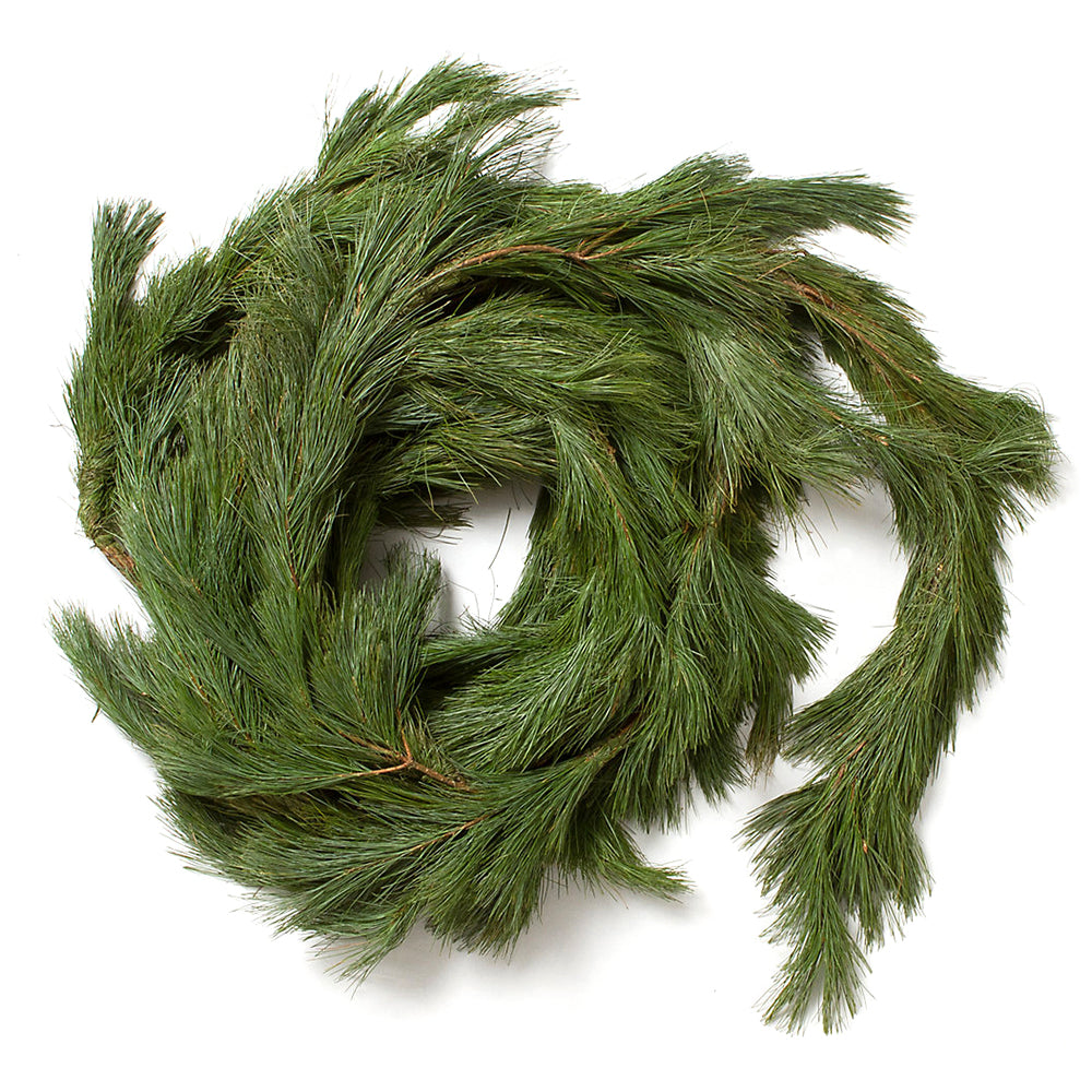 White Pine Roping/ Garland 25'