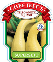 Load image into Gallery viewer, Squash &quot;Yellowneck&quot;
