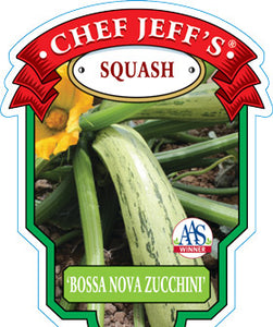 Squash 'Bossa Nova Zucchini'