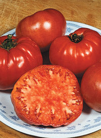 Tomato 'Brandywine'