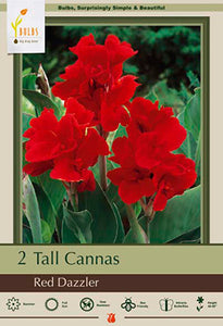 Canna Lily 'Red Dazzler' Bulbs (2)