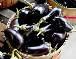 Eggplant 'Classic'
