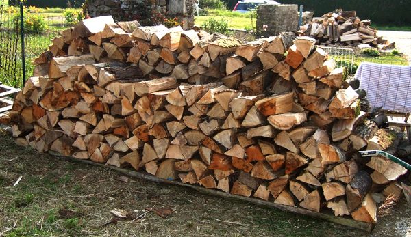 Firewood (Full Cord)