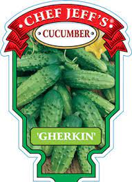 Cucumber "Mexican Sour Gherkin"