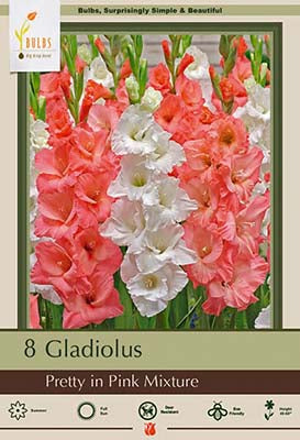 Gladiolus 'Large Flowering Pretty In Pink Mix' Bulbs (10)