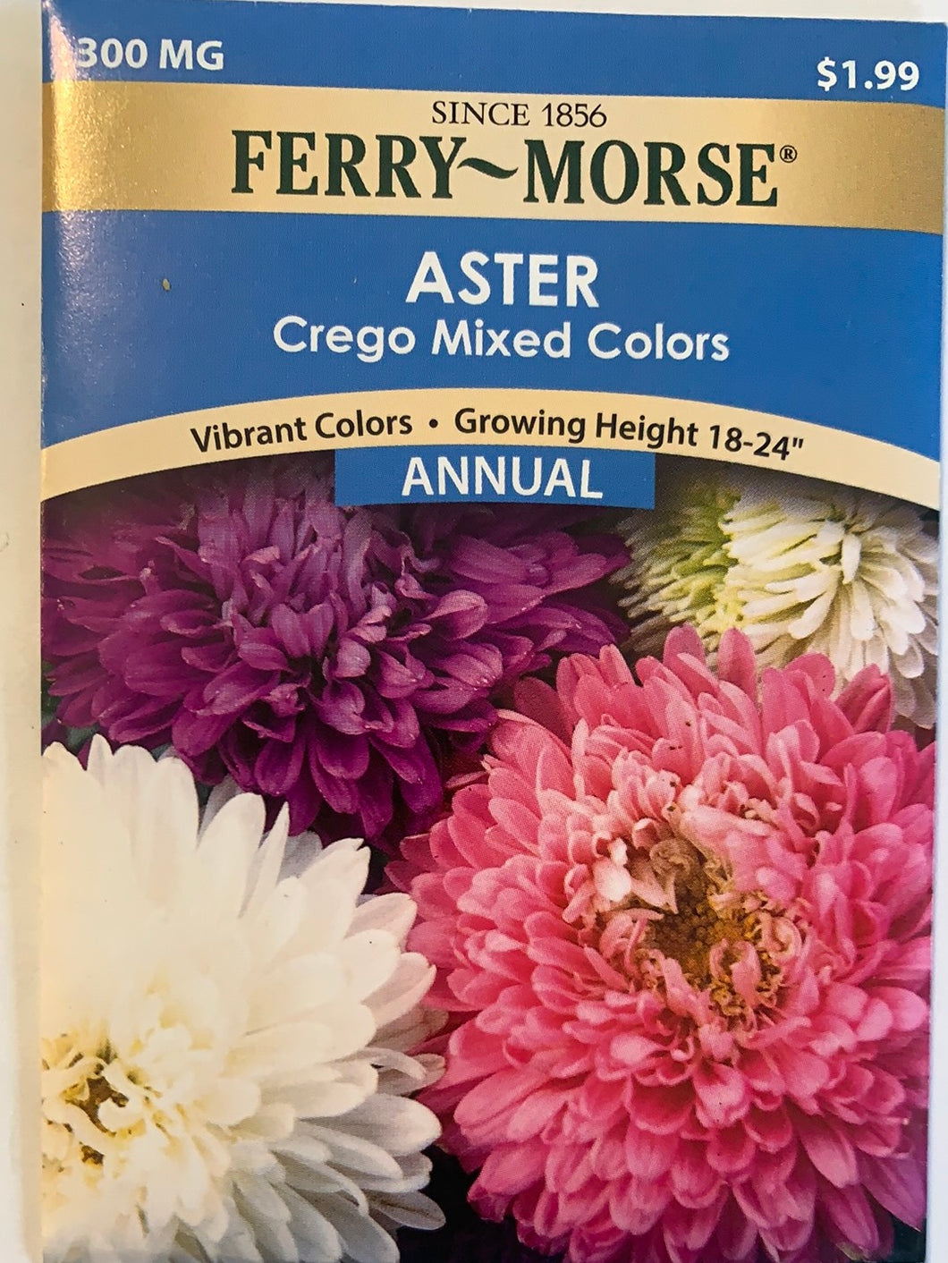 Aster Crego Mixed Colors Seeds