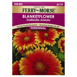 BlanketFlower Gaillardia Aristata Seeds