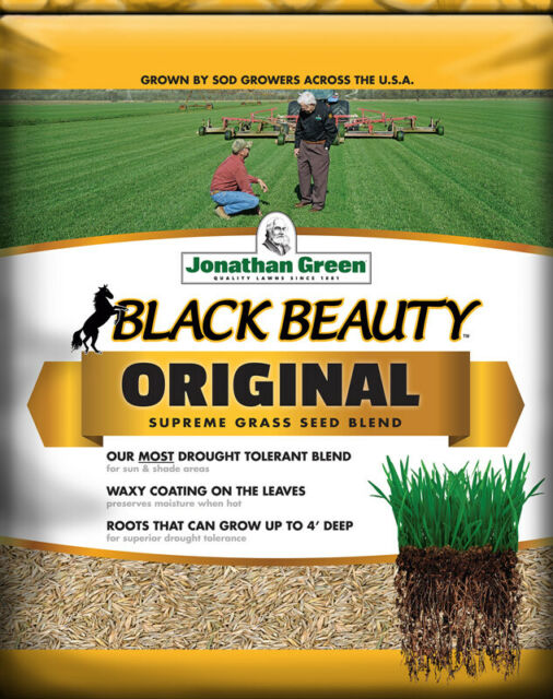 Jonathan Green Black Beauty Original
