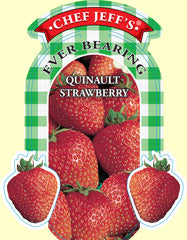 Strawberry "Quinault"