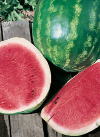Watermelon 'Crimson Sweet'