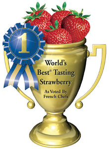 Strawberry "World's Best Tasting"